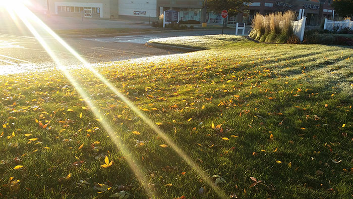 20151019_073025.jpg