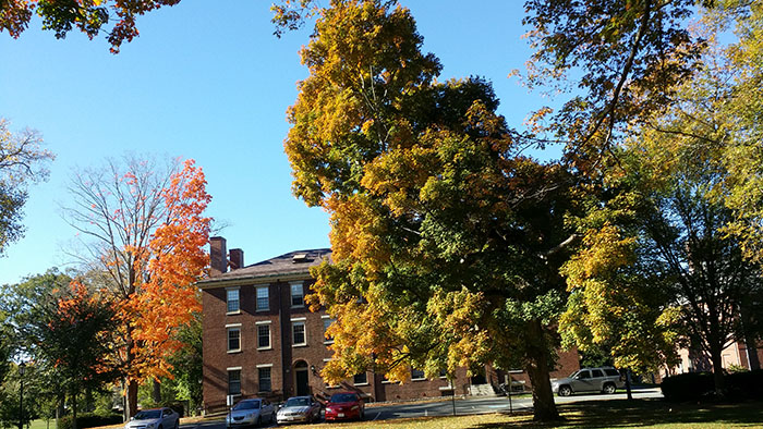 20151019_104414.jpg