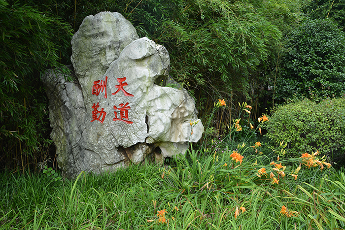 DSC_0116.JPG