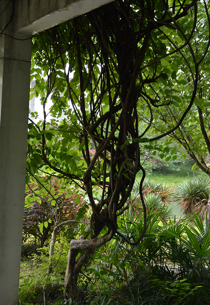 DSC_0164.JPG