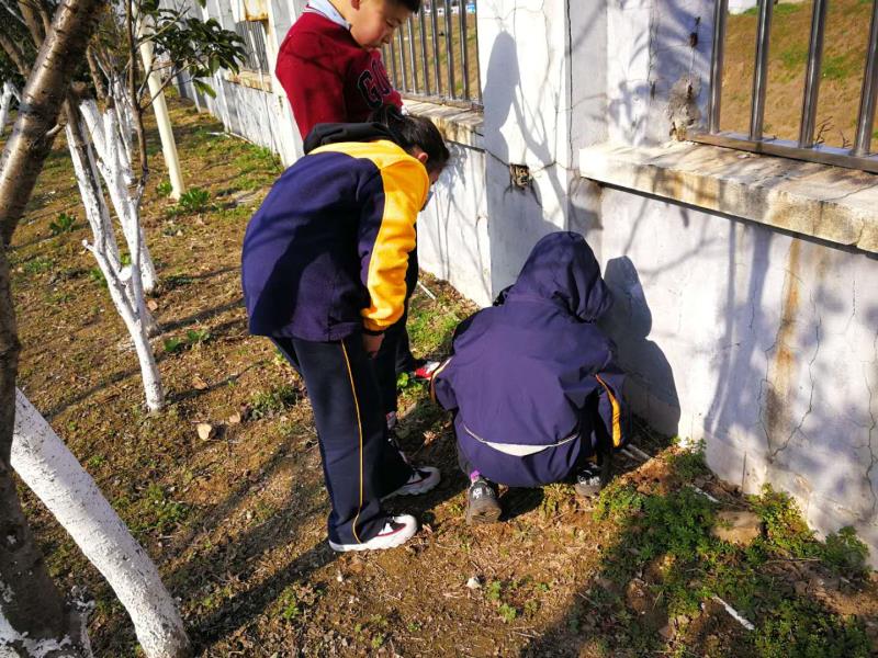 寰俊鍥剧墖_20190411210346.jpg
